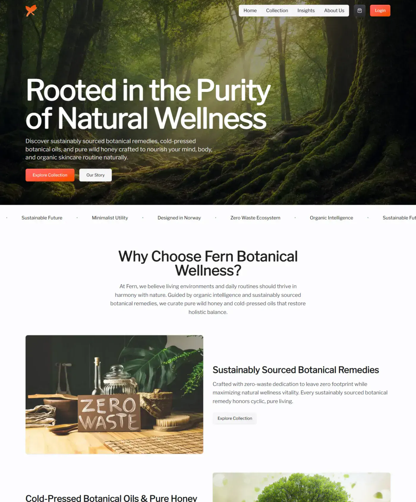 Fern — Sustainable Botanical Brand Experience project screenshot